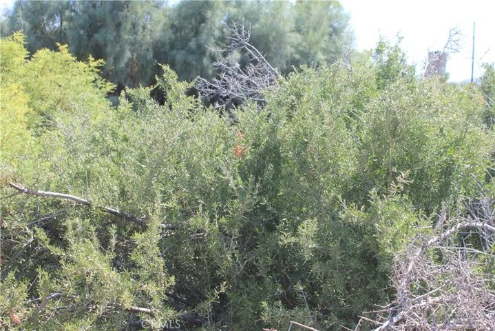 700 Twentynine Palms, Morongo Valley, California 92256