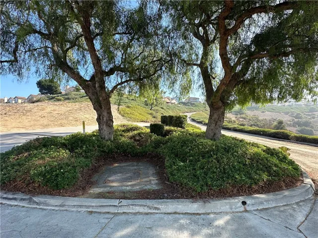 1005 S Mountvale Court, Anaheim Hills, California 92808