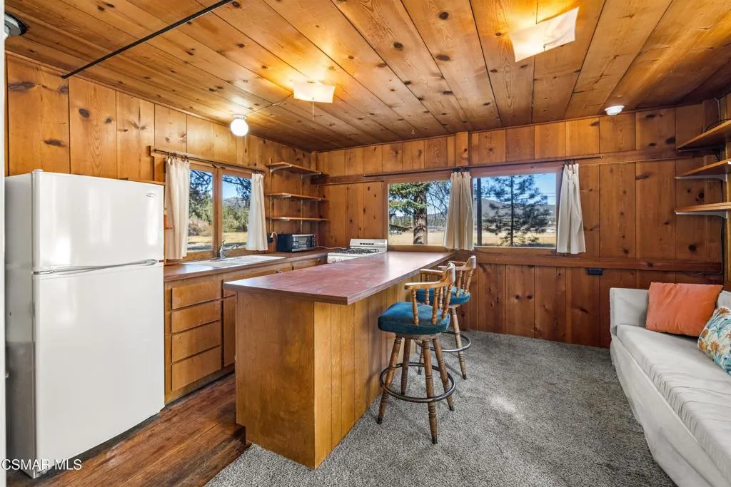 39585 Lakeview Pines Road, Big Bear, California 92315 home-pic-45