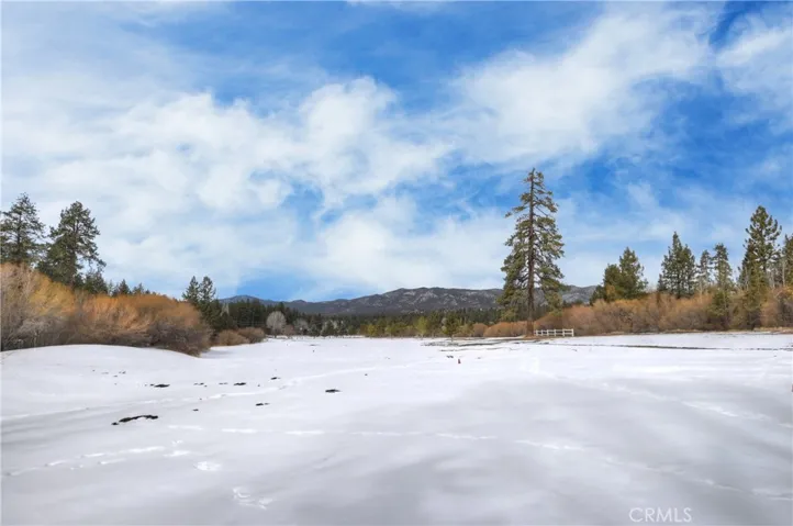 43077 Goldmine Woods Lane, Big Bear Lake, California 92315