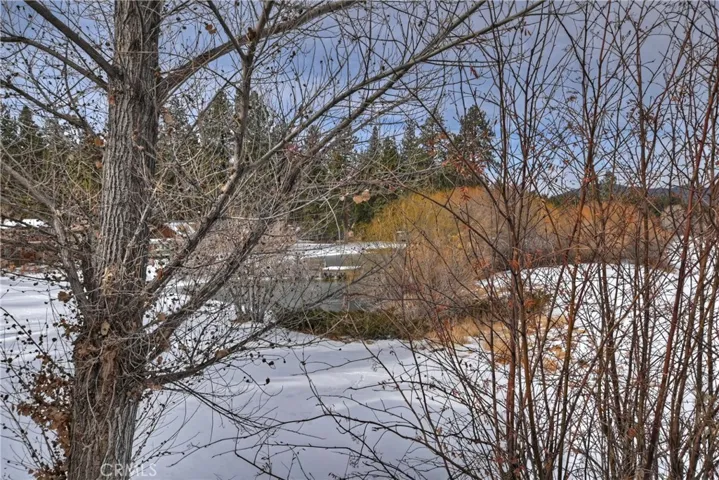43077 Goldmine Woods Lane, Big Bear Lake, California 92315