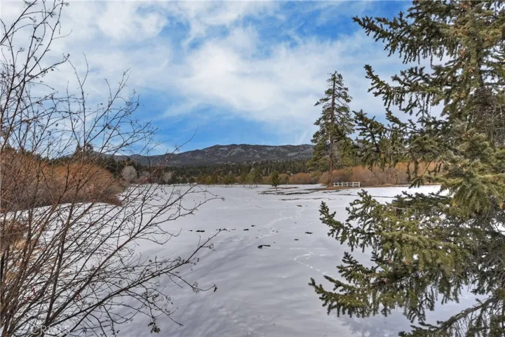 43077 Goldmine Woods Lane, Big Bear Lake, California 92315