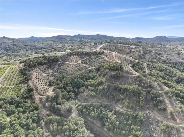 VIEWS  FROM LOWER GROVE SECTIONS LOOKING  UP SOUTHERLY  TOWARDS CAMARON ROAD