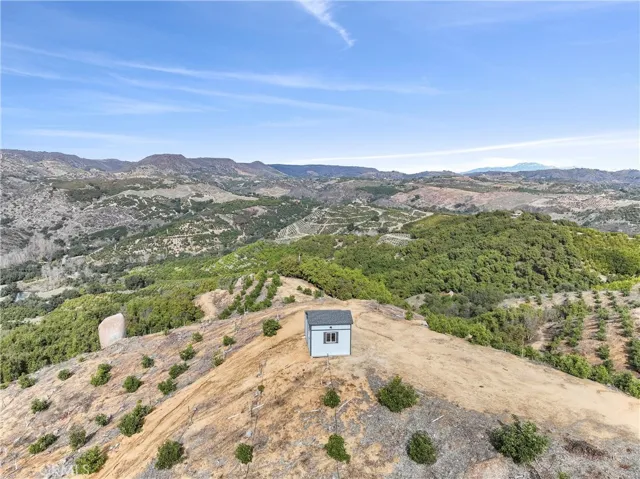 VIEW  FROM LEFT (WESTERLY)  SIDE OF PROPERTY OVERLOOKING SHED  SITE, YOUNG  DUSA HAAS TREES  AND EXISTING MATURE HAAS AVOCADO GROVE  4000 TOTAL TREE  COUNT (APPROXIMATELY)