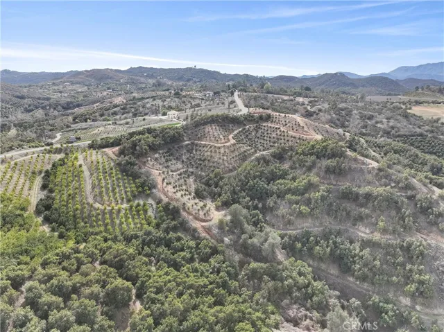 VIEW  FROM  RIGHT FRONT SOUTH ESAT CORNER  INTO NEIGHBOR TANGERINES ON LEFT SUBJECT PROPERTY .SEE FENCE LINE !