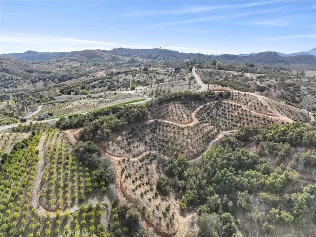 CAMARON ROAD ELEVATED FRONTAGE SHOWING MOST OF NEW DUSA  HAAS AVOCADO PLANTINGS  AND THE ORIGINAL PRODUCING  HAAS AVOCADO GROVES.