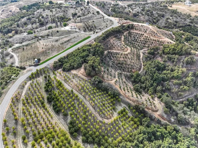 OVER VIEW OF NEIGHBORING PROPERTIES 2 HOMES ACROSS THE STREET TANGERINES NEXT  DOOR BOTTOM OF PHJOTO. NOTE CLEAN GROVE ROADS ON SUBJECT PROPERTY