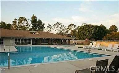 HOA olympic size inground pool