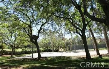 HOA volley ball court
