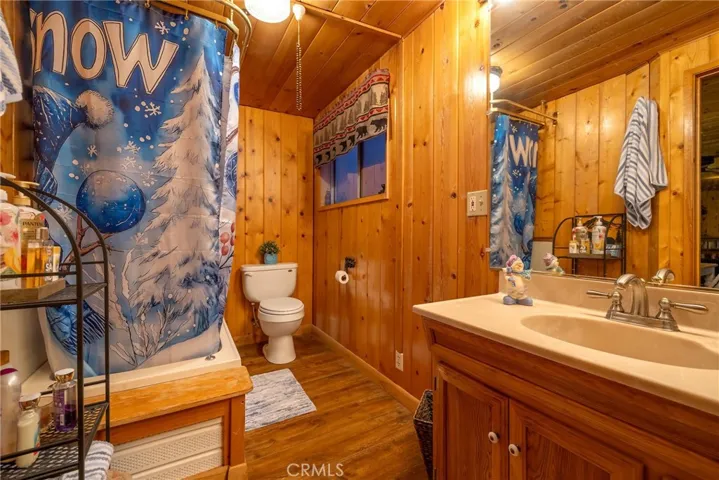 39388 Lodge Road, Fawnskin, California 92333