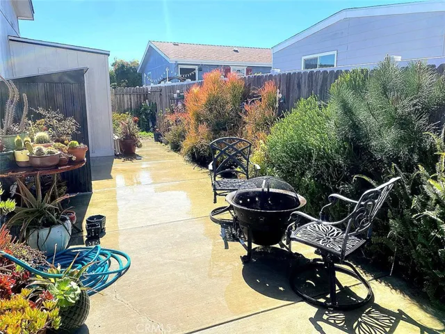 BIG back Yard
