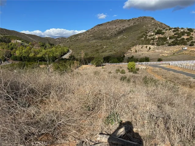 VIEW  FROM A POSSIBLE  FUTURE  HOMESITE LOCATION  LOOKING OVER THE PROPERTY