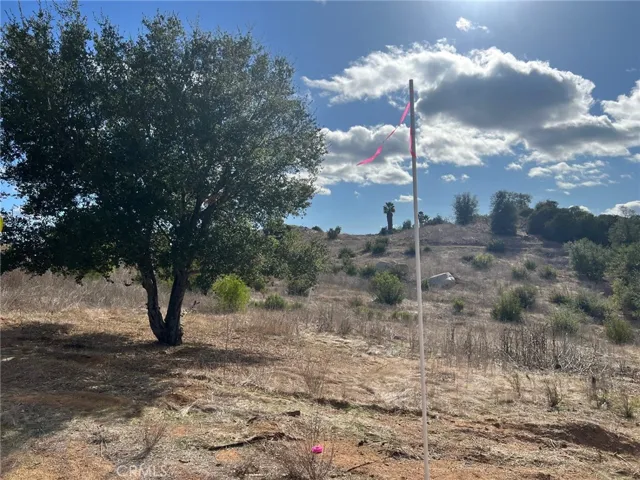 ONE OF THE MIDWAY  MARKERS