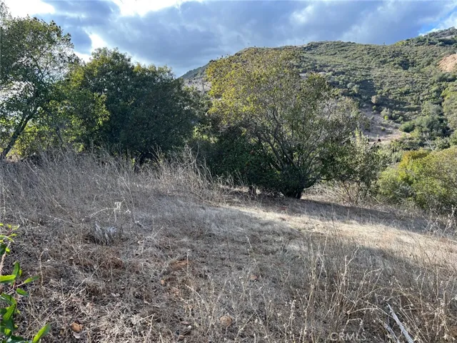 VIEW  TO WEST FROM SIDE  HIL  SLOPE  BETWEEN THE MIDDLE STAKES .