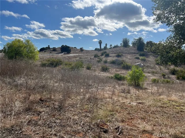 VIEW FROM  EL CALAMAR RD   CENTER  OF PROPERTY VIEWING  WESTERLY.