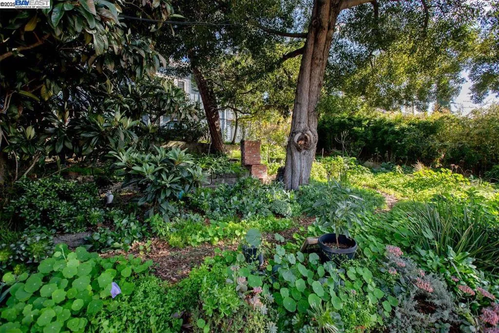 3140 E 27th St, Oakland, California 94601 home-pic-6