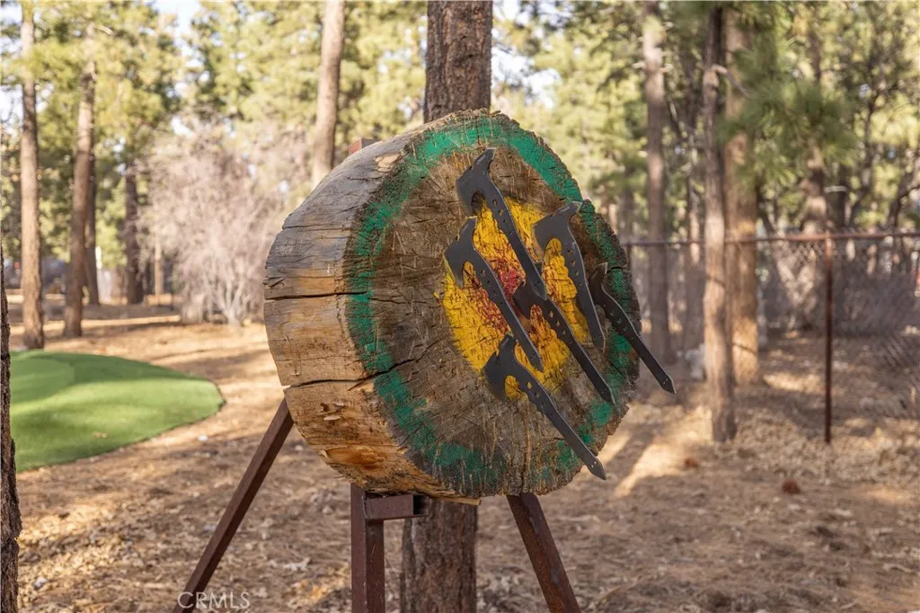 634 Cedar Glen Drive, Big Bear City, California 92314 home-pic-69