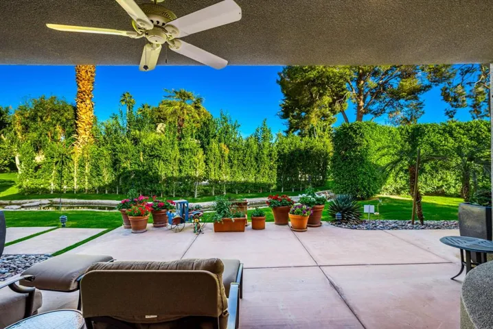 Backyard/patio