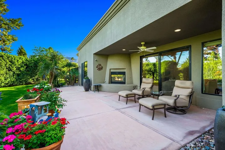 Backyard/patio
