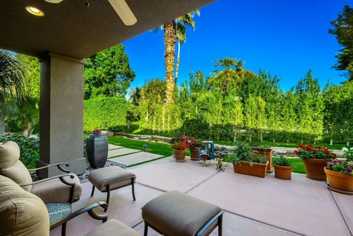 Backyard/patio