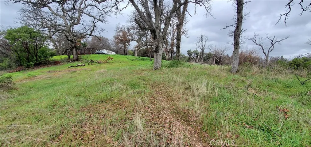 6960 Cougar Drive, Corning, California 96021