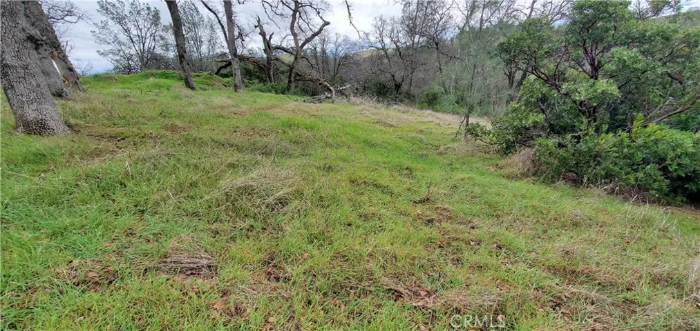 6960 Cougar Drive, Corning, California 96021
