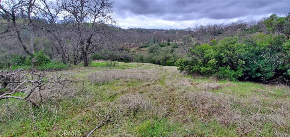 6960 Cougar Drive, Corning, California 96021