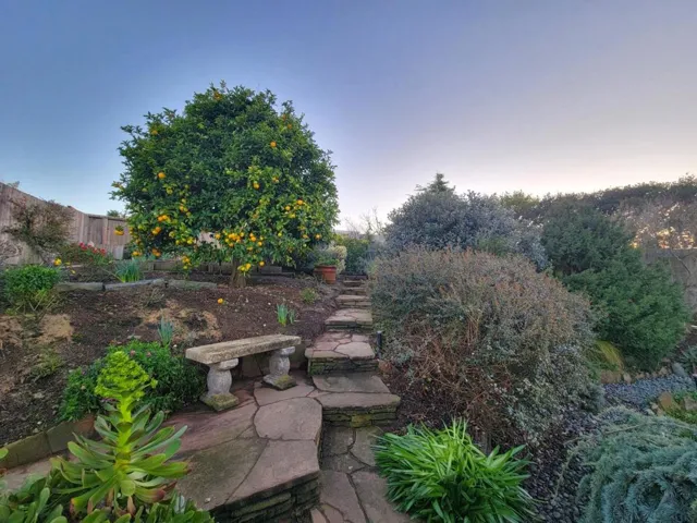 1713 Notre Dame Avenue, Belmont, California 94002