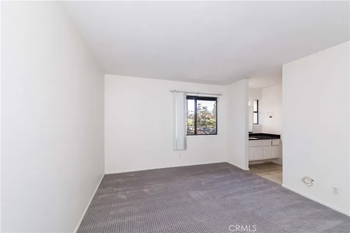 Brand New Updated Carpet