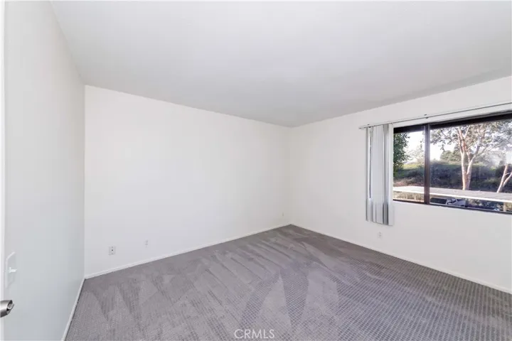 Brand New Carpet