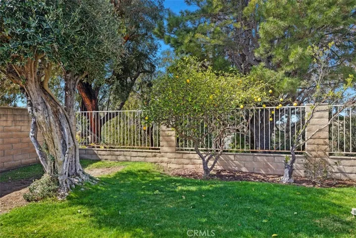 Back of the house is great for entraining with sweeping views, pool, jacuzzi, hard & soft scape, fruit tree, and more room to develop more.