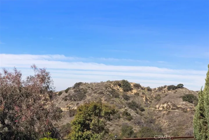 Back of the house is great for entraining with sweeping views, pool, jacuzzi, hard & soft scape, fruit tree, and more room to develop more.