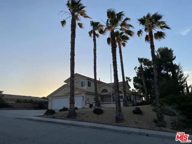 Stunning Palmtrees