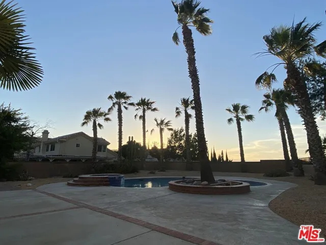 Luxurious Backyard