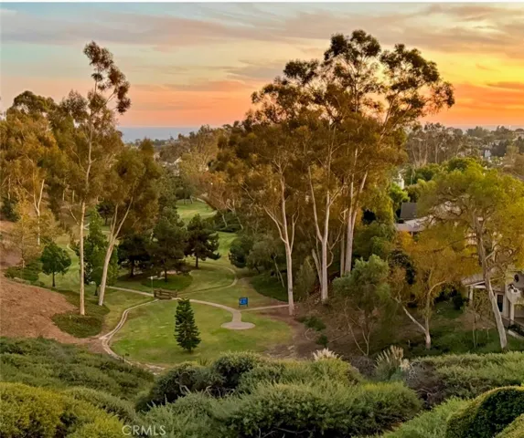 22 Logo Vista, Dana Point, California 92629