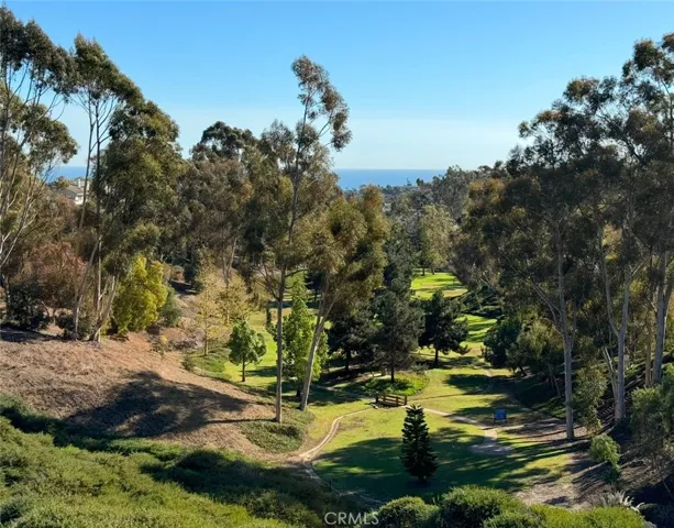 22 Logo Vista, Dana Point, California 92629