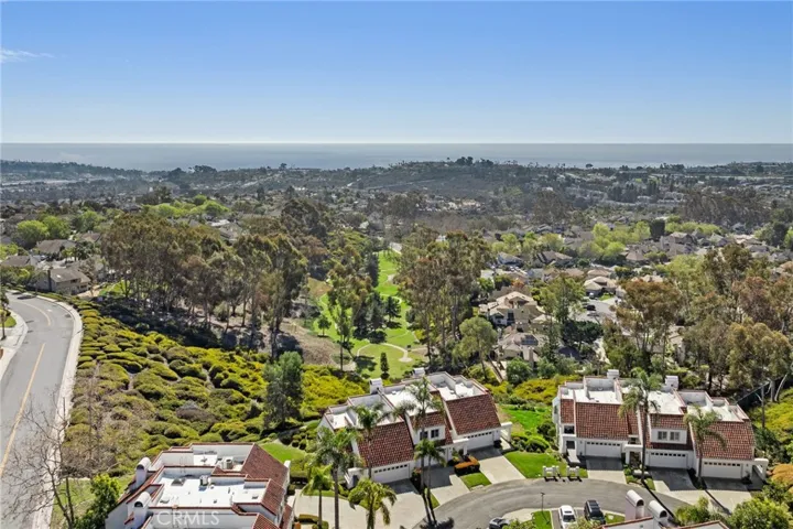 22 Logo Vista, Dana Point, California 92629