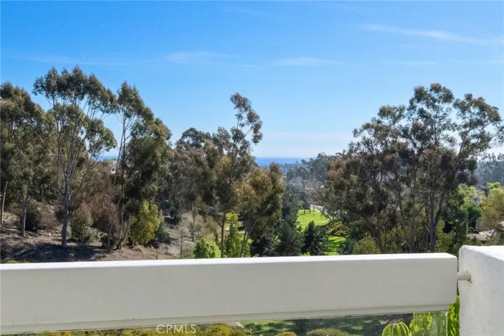 22 Logo Vista, Dana Point, California 92629
