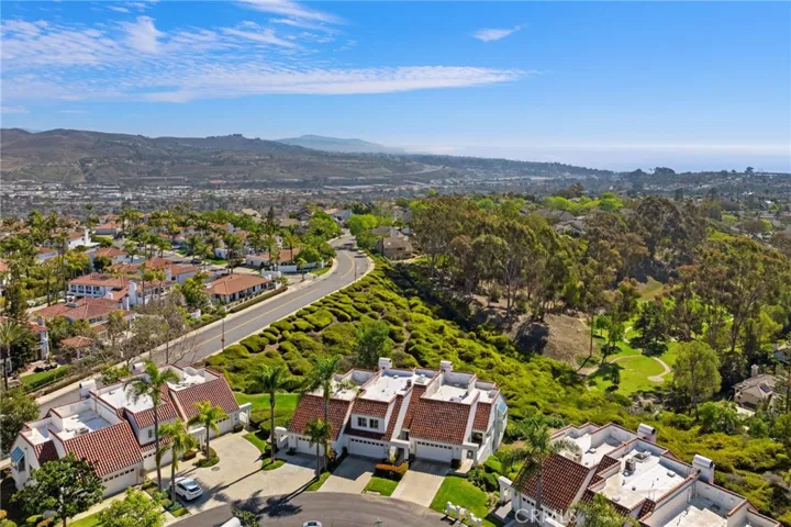 22 Logo Vista, Dana Point, California 92629