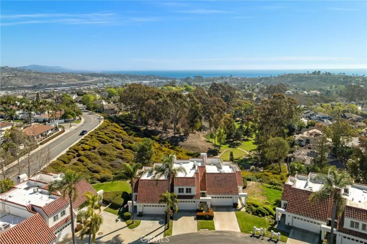 22 Logo Vista, Dana Point, California 92629