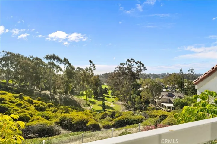 22 Logo Vista, Dana Point, California 92629