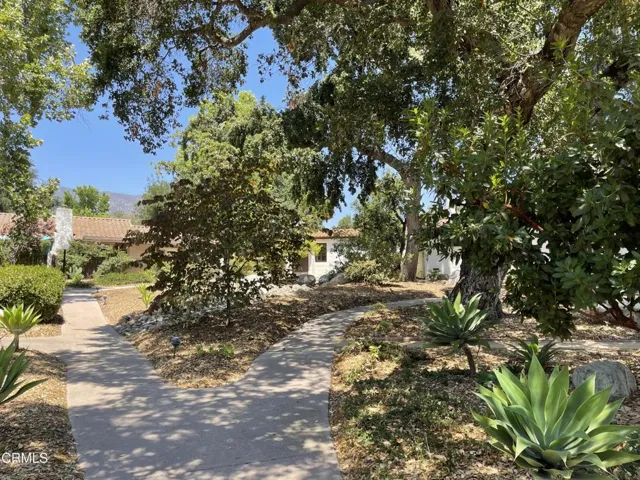 path 1