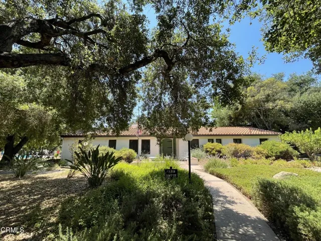 clubhouse 6