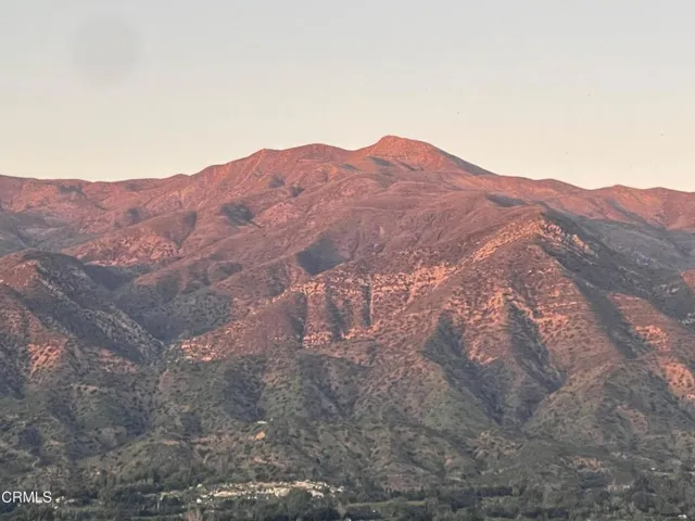 chiefs peak pink moment close up