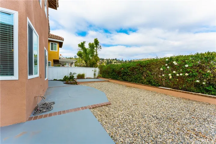 back yard