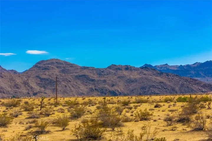 62455 Crestview Drive, Joshua Tree, California 92252