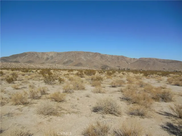 View North