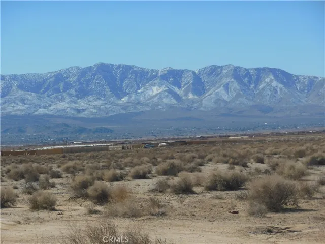 View North