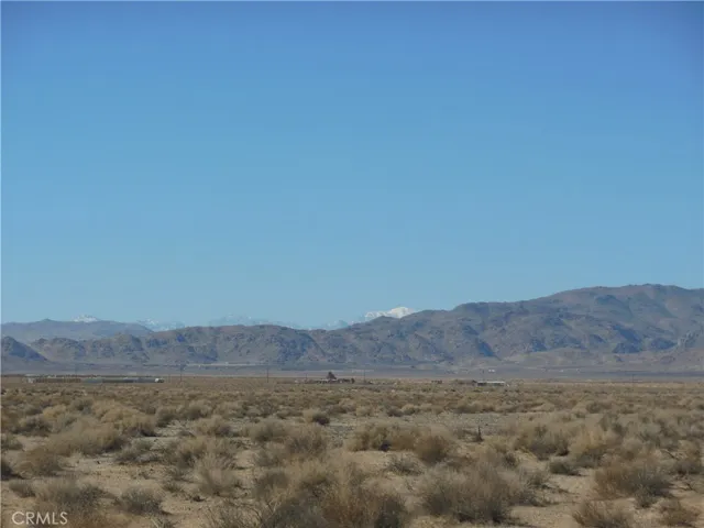 View South