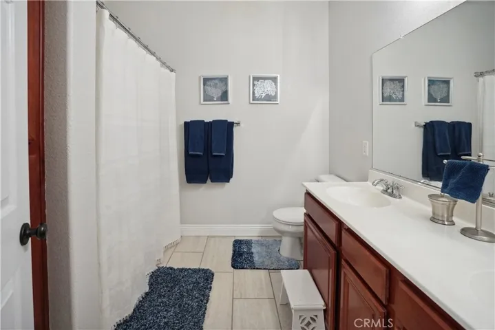 HALL BATHROOM DOWNSTAIRS